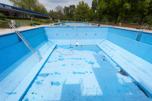 Best Flood restoration services  in Madison, NJ