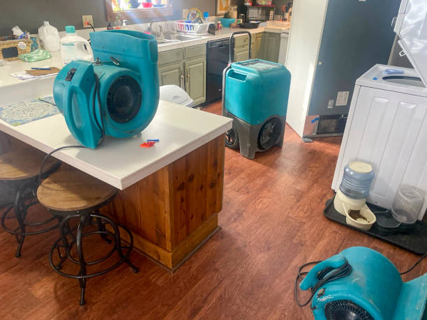 Best Flooded house restoration  in Madison, NJ