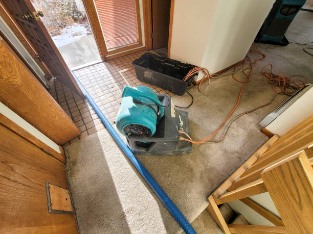 Best Mold removal after water damage  in Madison, NJ
