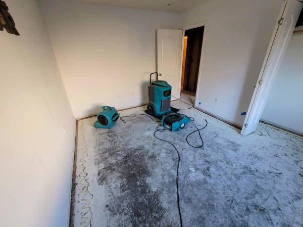 Best 24-hour water damage restoration  in Madison, NJ