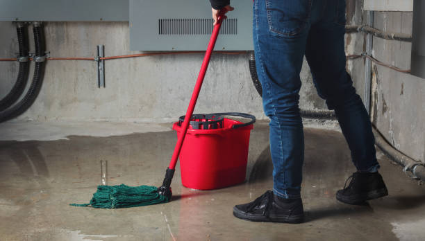 Best Flooded house restoration  in Madison, NJ