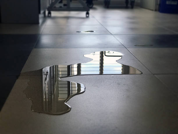 Best Water damage cleanup near me  in Madison, NJ