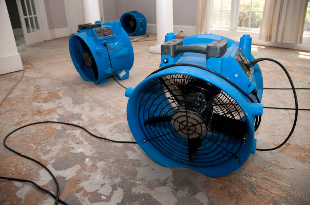 Best Water damage restoration near me  in Madison, NJ