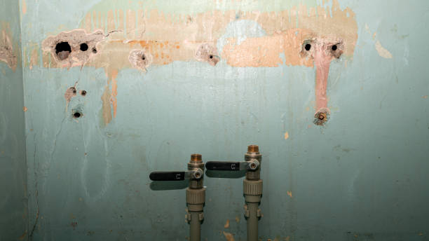 Best Water damage cleanup near me  in Madison, NJ