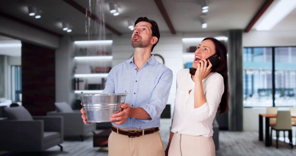Best Water damage restoration insurance claims  in Madison, NJ