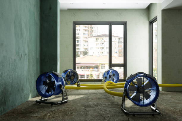 Best Local water damage restoration  in Madison, NJ