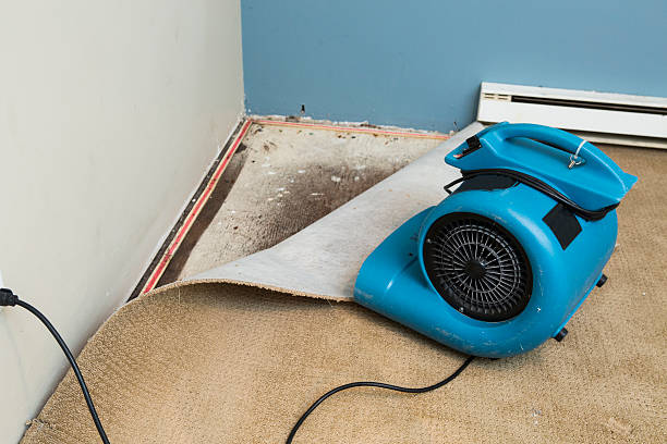 Best 24/7 water damage repair  in Madison, NJ